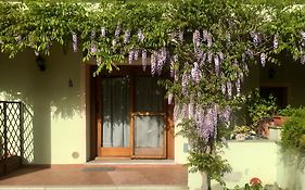 Luciana House
